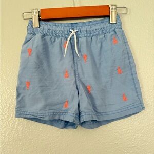 Janie and Jack Toddler Swim Trunks Size: 4